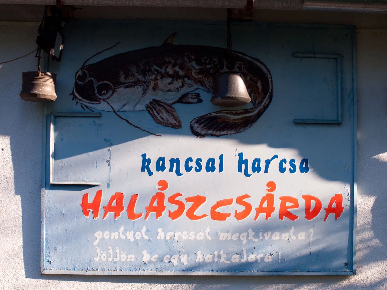 Kancsal Harcsa